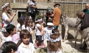 La festa della nascita di san Giovanni Battista…